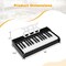 Kids Digital Piano Keyboard 30 Keys with Stand for Beginners 3+